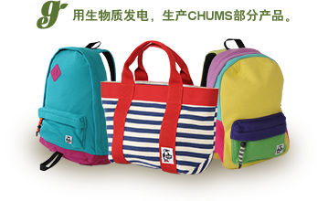 用生物质发电,生产CHUMS部分产品 