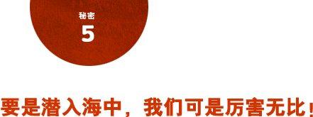 秘密5 要是潜入海中，我们可是厉害无比！