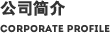 公司简介 CORPORATE PROFILE