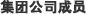 集团公司成员